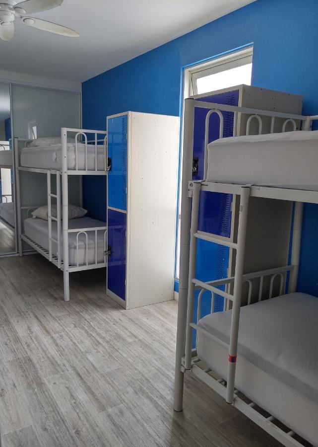 London Plane Backpackers Pansiyon Sidney Dış mekan fotoğraf