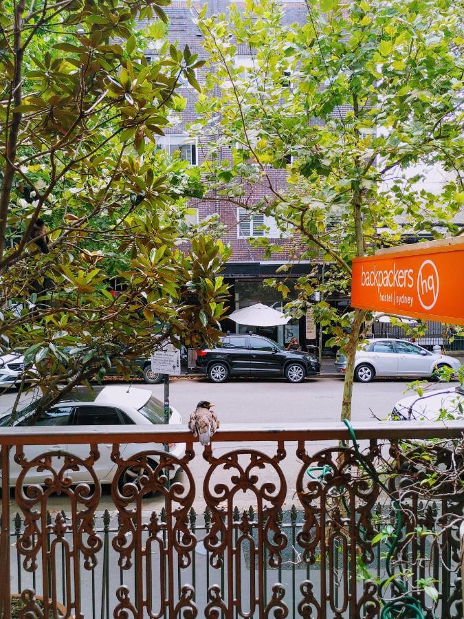 London Plane Backpackers Pansiyon Sidney Dış mekan fotoğraf